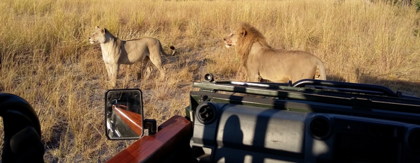 Kadizora Camp (Okavango Delta) Botswana - www.africansafaris.travel