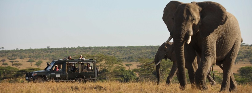 Kicheche Mara Camp (Masai Mara) Kenya - www.africansafaris.travel