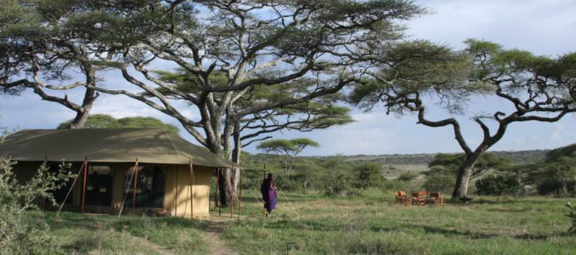 Lemala Ndutu Camp (Serengeti National Park) Tanzania -  www.africansafaris.travel