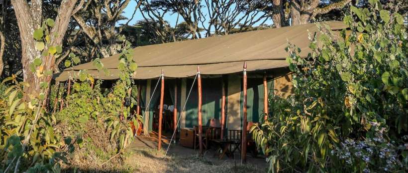 Lemala Ngorongoro Camp (Ngorongoro Conservation Area) Tanzania - www.africansafaris.travel