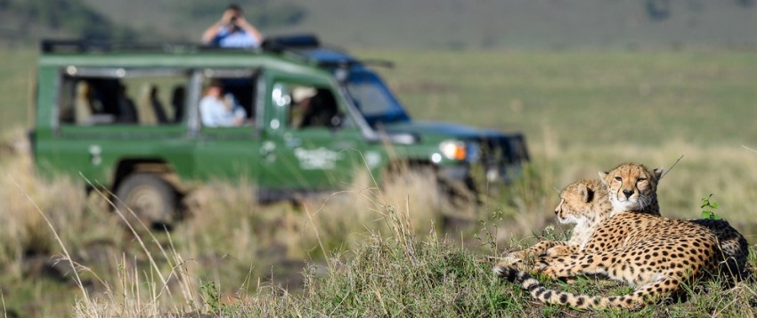 Little Governors' Camp (Masai Mara) Kenya - www.africansafaris.travel