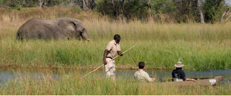 Magical Botswana and Vic Falls Safari (11 Days) - www.africansafaris.travel