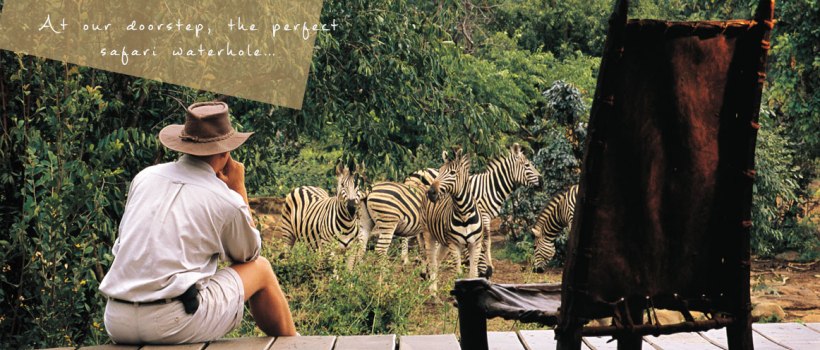 Makweti Safari Lodge (Welgevonden Game Reserve) South Africa - www.africansafaris.travel