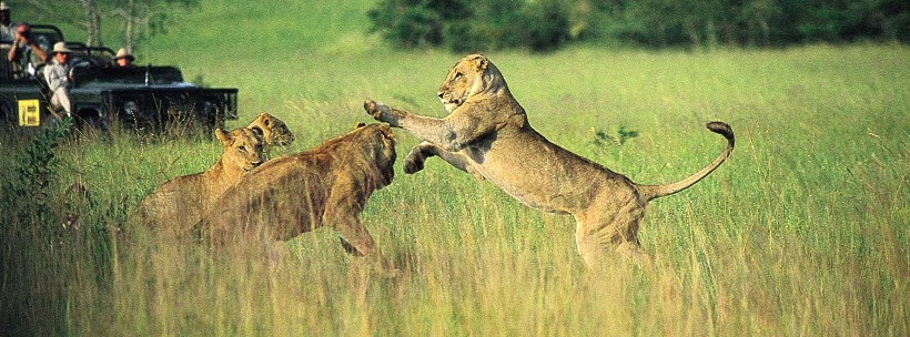 MalaMala Main Camp (Sabie Sand Game Reserve) South Africa - www.africansafaris.travel