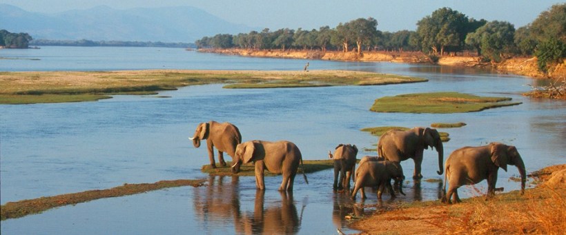 Chikwenya Safari Lodge, Mana Pools - www.africansafaris.travel