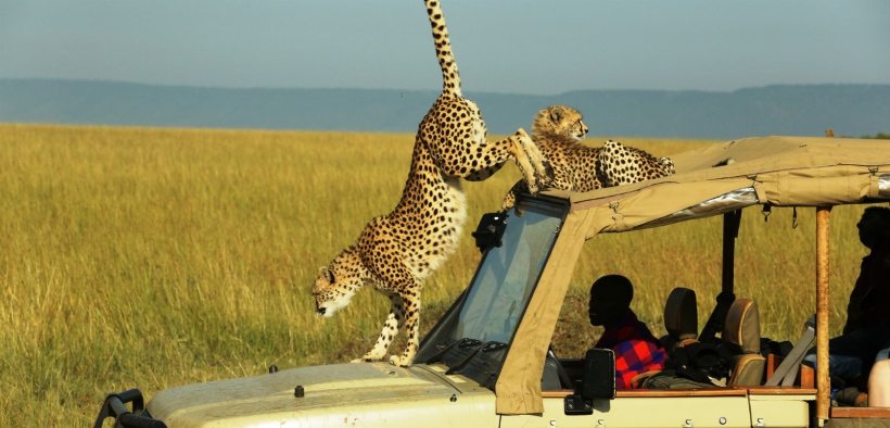 Mara Ngenche Camp (Masai Mara) Kenya - www.africansafatris.travel