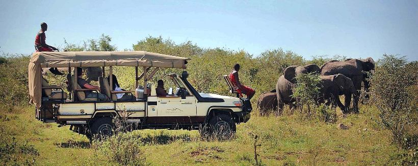 Mara Bushtops (Masai Mara) Kenya - www.africansafaris.travel