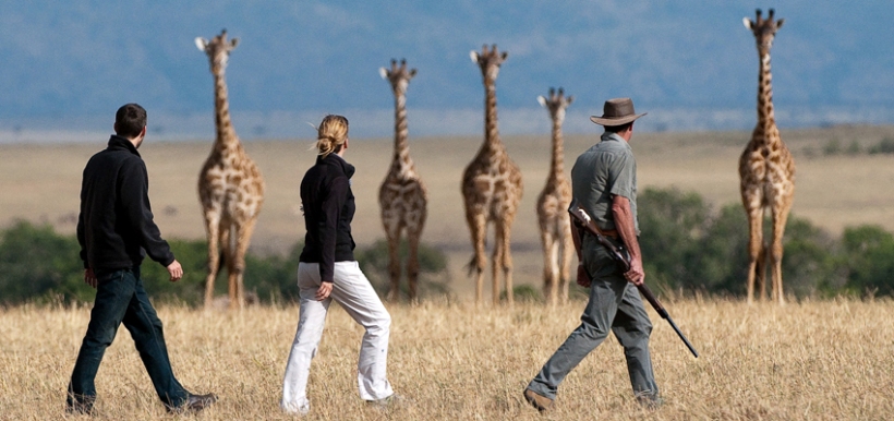 Mara Plains Camp (Olare Orok Conservancy - North of the Masai Mara Game Reserve) Kenya - www.africansafaris.travel