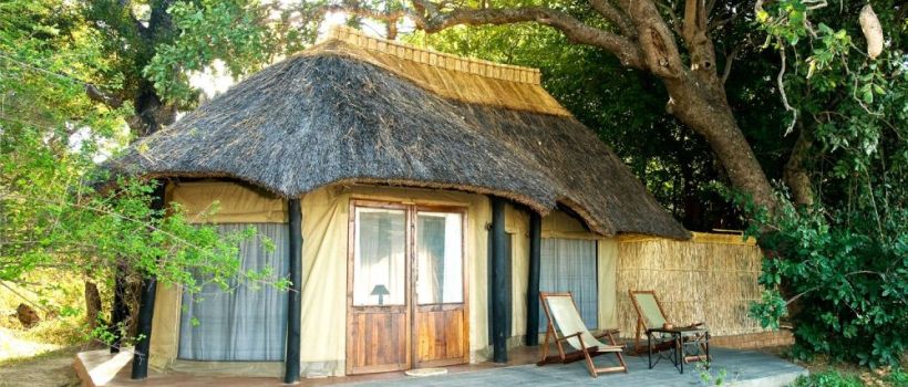 Mchenja Bush Camp (South Luangwa National Park) Zambia - www.africansafaris.travel