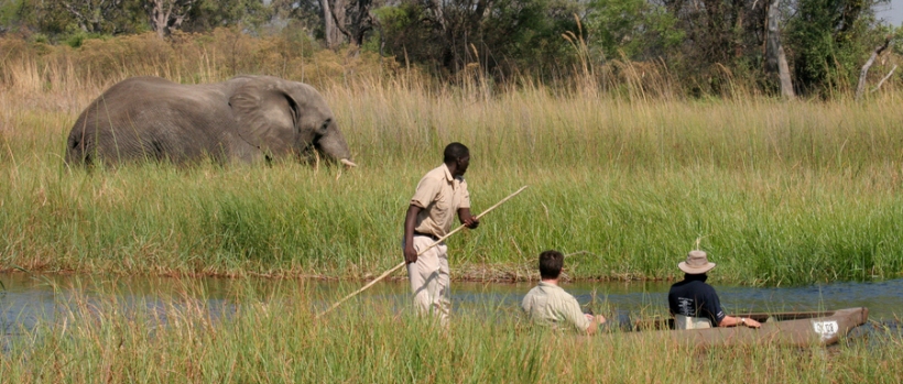 Moremi Crossing (Moremi Game Reserve) Botswana - www.africansafaris.travel