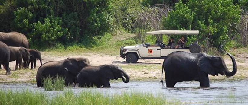 Muchenje Safari Lodge (Chobe National Park) Botswana - www.africansafaris.travel