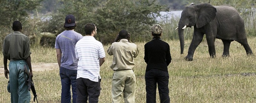 Mvuu Wilderness Lodge (Liwonde National Park) Malawi - www.africansafaris.travel