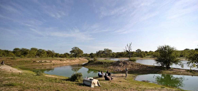 Ngala Safari Lodge - www.africansafaris.travel