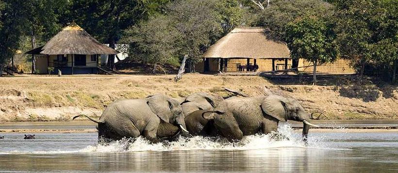 Nsefu Camp (South Luangwa National Park) Zambia - www.africansafaris.travel