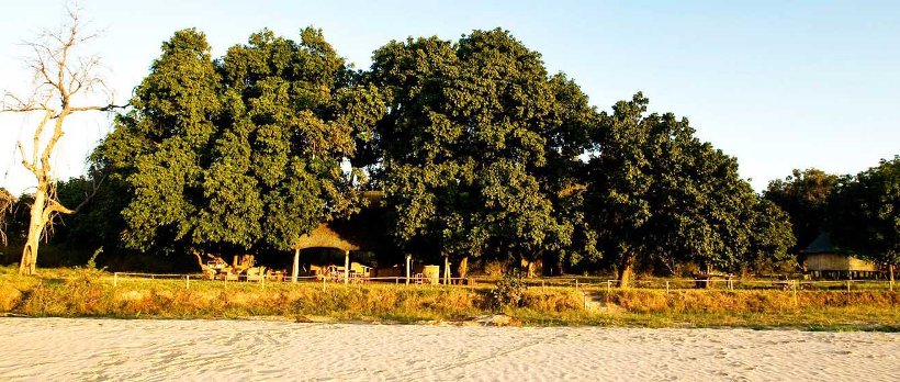 Nsolo Bush Camp (South Luangwa National Park) Zambia - www.africansafaris.travel