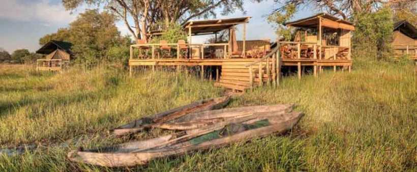 Oddballs
 Enclave (Okavango Delta) Botswana - www.africansafaris.travel