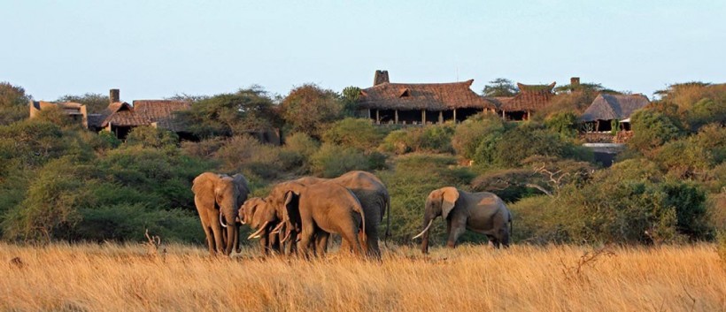 The Superior Choice Safari - Kenya (10 Days) - www.africansafaris.travel