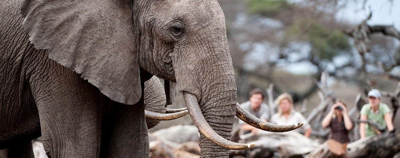 Ol Donyo Lodge (Amboseli National Park / Chyulu Hills Region) Kenya - www.africansafaris.travel