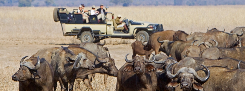 Old Mondoro Camp - www.africansafaris.travel