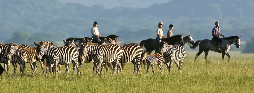 Ol Donyo Lodge (Amboseli National Park / Chyulu Hills Region) Kenya - www.africansafaris.travel