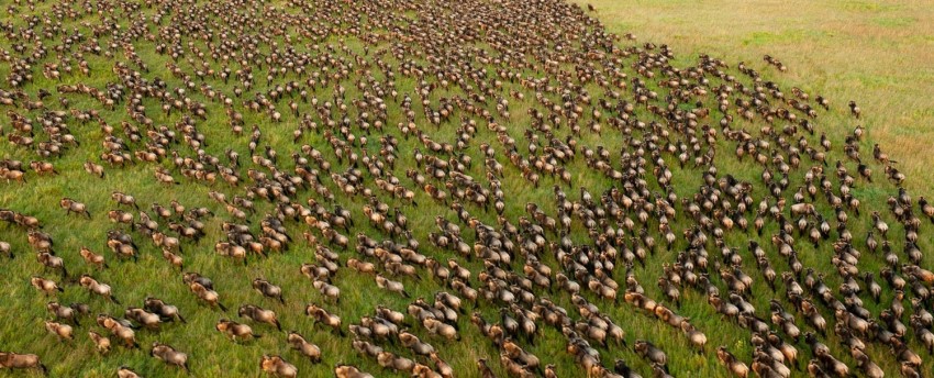 Ol Seki Mara Camp (Eastern Koyiaki Conservation Area - North of the Masai Mara) Kenya - www.africansafaris.travel