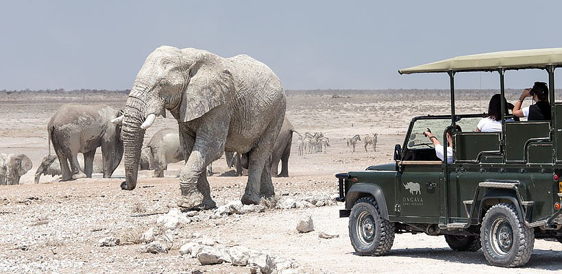 Ongava Lodge (Etosha Region) Namibia - www.africansafaris.travel