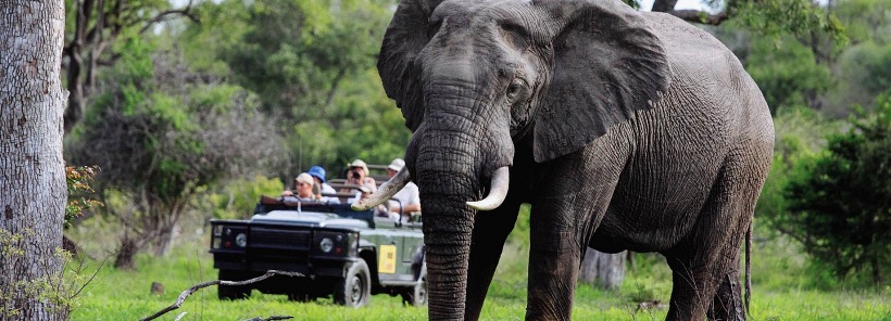 Rattray's on MalaMala (Sabie Sand Game Reserve) South Africa - www.africansafaris.travel