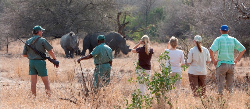 Rhino Post Safari Lodge (Northern Kruger National Park, Limpopo Province) South Africa - www.africansafaris.travel