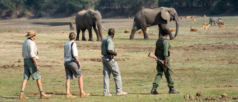 The South Luangwa Walking Safari (11 Days) - www.photo-safaris.com