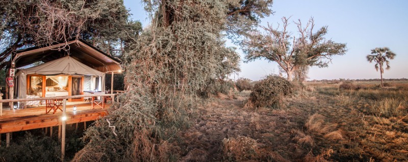 Rra Dinare Camp (Okavango Delta) Botswana - www.africansafaris.travel