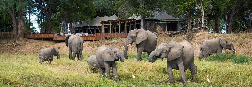 Ruckomechi Camp - Picture by Wildernerss Safaris - www.africansafaris.travel