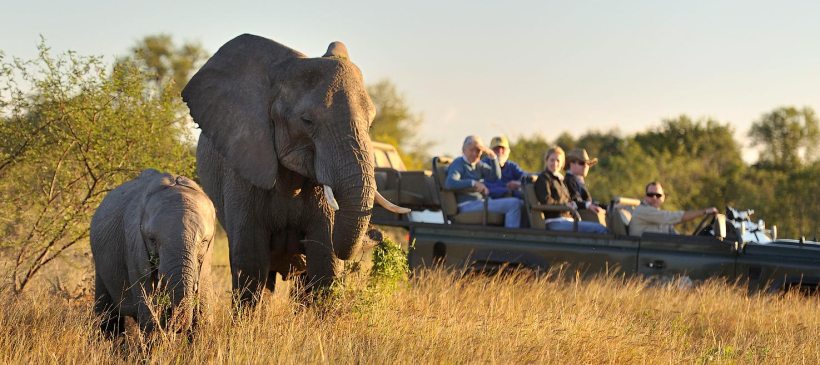 Sabi Sabi Earth Lodge (Sabi Sand Game Reserve) South Africa - www.africansafaris.travel