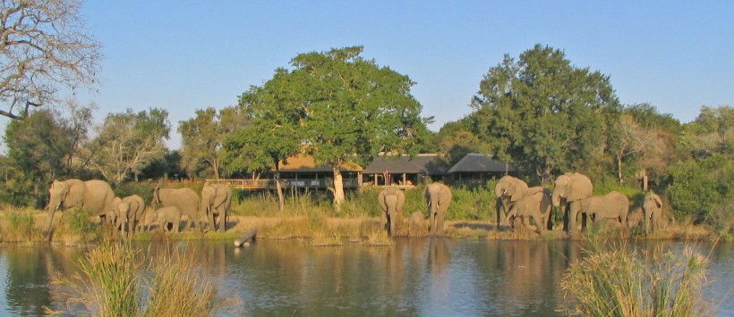 Sabi Sabi Little Bush Camp (Sabi Sand Game Reserve) South Africa - www.africansafaris.travel