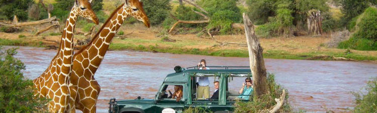 The Wings Over East Africa Safari (11 Days) - www.africansafaris.travel