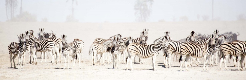 San Safari Camp (Makgadikgadi Pans) Botswana - www.africansafaris.travel