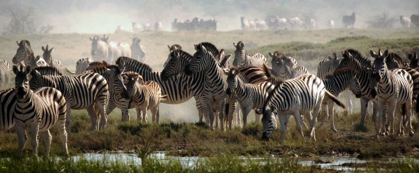 San Safari Camp (Makgadikgadi Pans) Botswana - www.africansafaris.travel