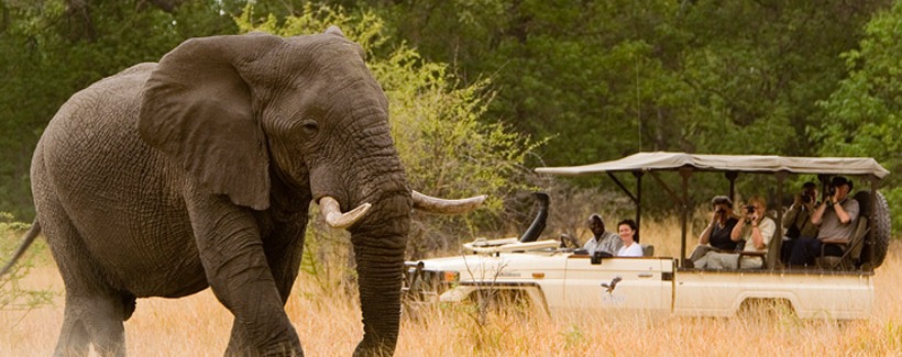 Sanctuary Baines Camp - www.africansafaris.travel