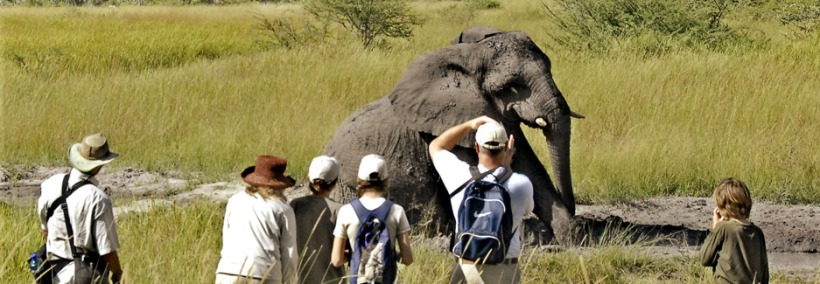 Sanctuary Baines Camp - www.africansafaris.travel