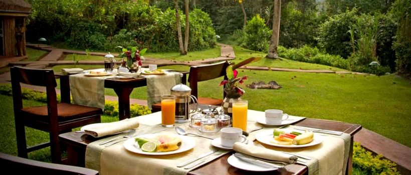 Sanctuary Gorilla Forest Camp (Bwindi Impenetrable Forest) Uganda - www.africansafaris.travel