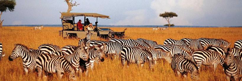 Saruni Lodge (Masai Mara Game Reserve) Kenya - www.africansafaris.travel