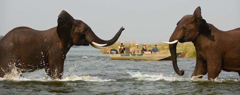 Sausage Tree Camp (Lower Zambezi National Park) Zambia - www.africansafaris.travel