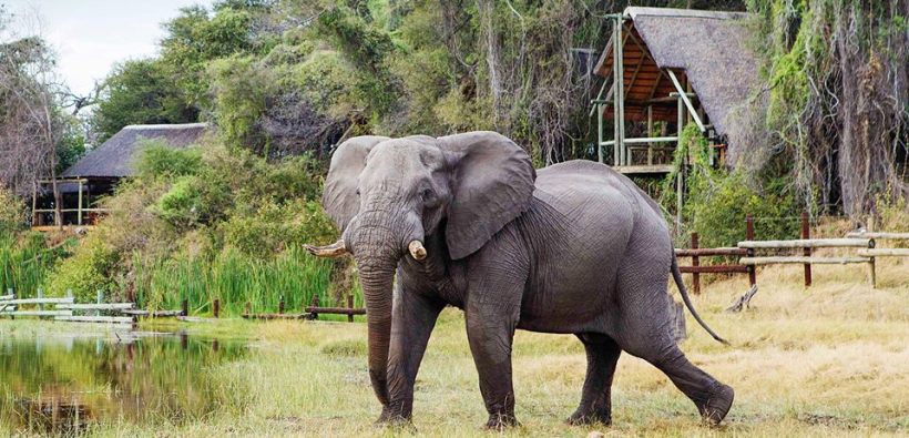 Savute Safari Lodge (Chobe National Park) Botswana - www.africansafaris.travel