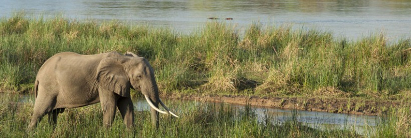 The Retreat Selous (Selous Game Reserve) Tanzania - www.africansafaris.travel