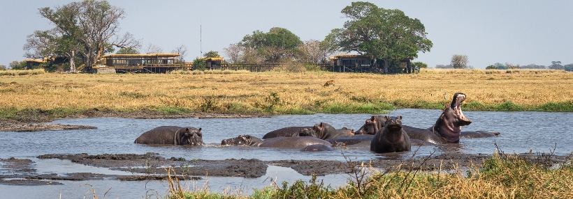 Shumba Camp (Kafue National Park) Zambia - Wilderness Safaris - www.africansafaris.travel