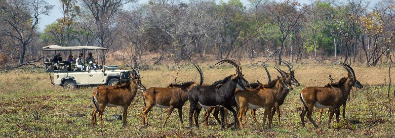 Shumba Camp (Kafue National Park) Zambia - Wilderness Safaris - www.africansafaris.trave