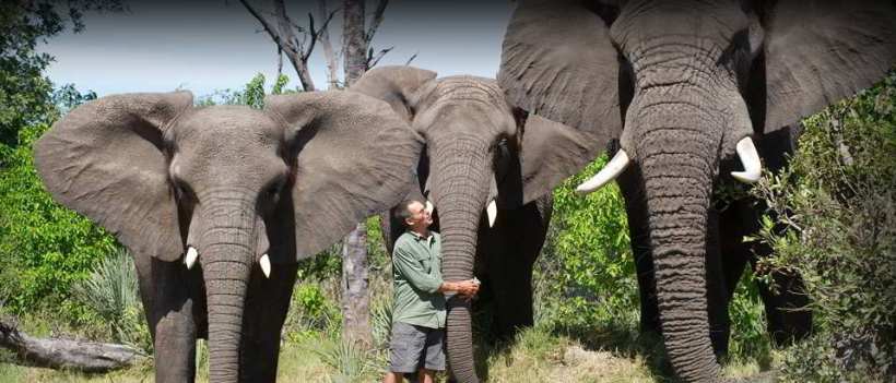 Sanctuary Sanctuary Stanley's Camp
(Okavango Delta) Botswana - www.africansafaris.travel