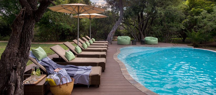 Tanda Tula Safari Camp (Timbavati Private Nature Reserve) South Africa - www.africansafaris.travel