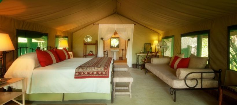 Tanda Tula Safari Camp (Timbavati Private Nature Reserve) South Africa - www.africansafaris.travel