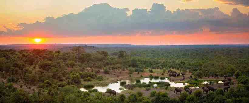 Victoria Falls Safari Lodge (Victoria Falls) Zimbabwe - www.africansafaris.travel