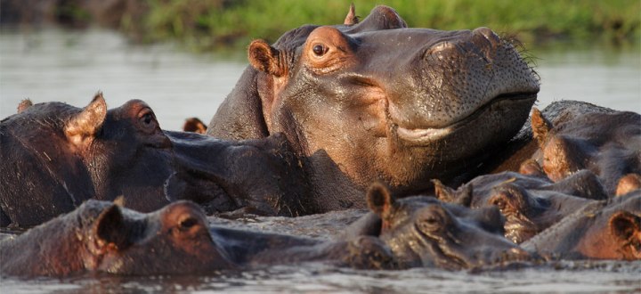 Victoria Falls River Lodge (Victoria Falls) Zimbabwe - www.africansafaris.travel